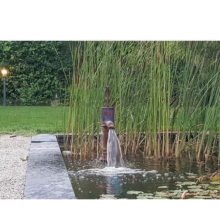 La Maison D Alys Cabannes Bagian luar foto