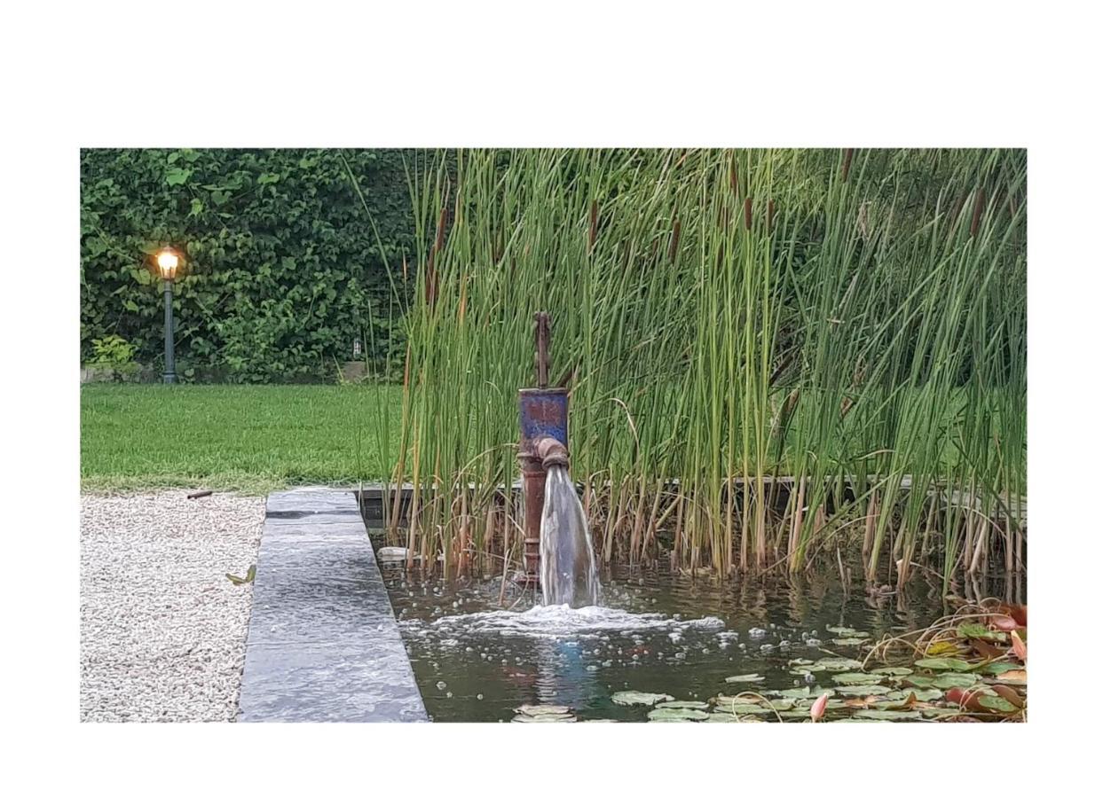La Maison D Alys Cabannes Bagian luar foto
